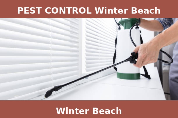 PEST CONTROL Winter Beach
